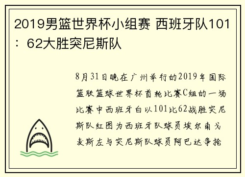 2019男篮世界杯小组赛 西班牙队101：62大胜突尼斯队